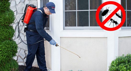 Helvacı Fare İlaçlama böcek ilaçlama ve haşere kontrolü — ilaclama-tr.com
